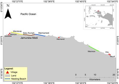 Community Engagement: An Integral Component of a Multifaceted Conservation Approach for the Transboundary Western Pacific Leatherback